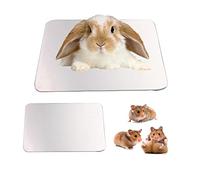 Namvo Summer Cool Plate Cooling Pad Hamster Mat Ice Bed for hamster 10 * 6cm/ 3.9 * 2.4inch