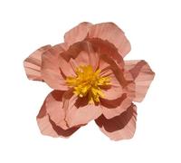 Namzi 3Pcs 10in Crepe Paper Flowers Decoration for Wall, Flowers for Wedding Decor,Flower Backdrop Decor,Baby Shower,Birthday Party,Photo Backdrop,Archway Decor, Nursery Wall Decor，Lotus Pink B
