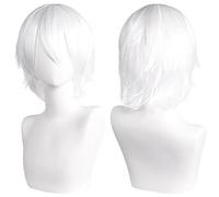 Namzi Unisex Anime Short Hair Wig Cosplay Anime Wig Fluffy Layered Costume Wig Heat Resistant Synthetic Costume Party Prom Wigs with Bangs，White