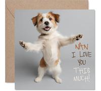 Nan Birthday Card - Pawfect! - Happy Birthday Card for Nan from Grandson Granddaughter, 145mm Dog lover Bday Greeting Cards