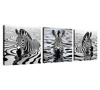 NAN Wind 3 Pcs Framed Canvas Prints, 12x12inches, Black and White Zebra Abstract Art, Ready to Hang, Living Room, Bedroom, Kitchen, Office Decor