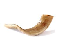 Nana Gifts Authentic Ram Shofar Horn From Israel, Polished, Beige 12''-14''