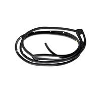 NANGAEBPPW for Accord 10th Generation 2018-2023 Rear Left/Right Door Rubber Seal Doorpost Strip 72850-TVA-A01 72810-TVA-A01(Rear Right)