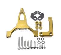 NANGAEBPPW Motorcycle Accessories Stabilizer Steering Damper Mounting Bracket Kit Damper For Yamaha MT-09 MT09 2024 2025(Gold)