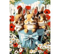 NANJDIAN Adults Rabbit Paint by Number Kits,Painting by Number Kits on Canvas,Large Color by Numbers Adult Watercolor Gifts for Friends Wall Decor (Rabbit)