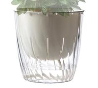 Nankoyal Hydro Pots for Plants - Self-watering Desktop Planter Vase,Decorative Nursery Flower Pot for Hydroponic Plants, Transparent Plant Pots for Indoor Outdoor