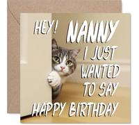 Nanny Birthday Card, Cute Cat Peekaboo