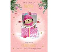 Nanny Christmas Card - Lovely Nanny - Hedgehog and Fairy Lights - Artistic Festive Design - Special Finish - Made in the UK - Eco-Friendly