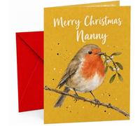 Nanny Christmas Card with Robin and Mistletoe Branch