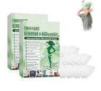 Nano Microneedle Patch,Moringa 10-in-1 Nano Microneedle Patch,Herbal Ingredients Men/Women, Natural Metabalance Patchs,Body Slim Patchs for All Skin Types (A, 2)