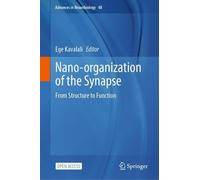 Nano-organization of the Synapse: From Structure to Function (Advances in Neurobiology, 48)