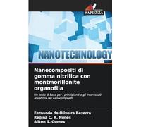 Nanocompositi di gomma nitrilica con montmorillonite organofila: Un testo di base per i principianti e gli interessati al settore dei nanocompositi