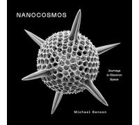 Nanocosmos: Journeys in Electron Space