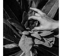 Nanook Of The North - Heide [VINYL]