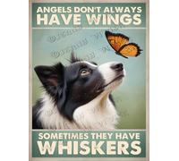 NANVIER Funny Border Collie Aluminum Decor - 5.5x8 Inches - Angels Don't Always Have Wings, Sometimes They Have Whiskers - Vintage Tin Sign Gift for Dog Lovers