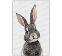 NANVIER Funny Tin Sign Rabbit Woodland Nursery Decor, Baby Room Decor Animal Pictures for Nursery, Woodland Decor, Baby Wall Decor, Nursery Wall Art for Boys and Girls 15x20 cm