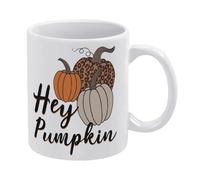 NANVIER Rustic Hey Pumpkin Mug,Farmhouse Artwork Decor,Retro Autumn Thanksgiving Harvest Birthday and Fall Gifts for Family or Friend,Gift Box Packaging 11 Oz