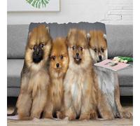 NAOFEKUID 3D Printed Cute Corgi Dog Blanket Microfiber Home Decor Sofa Throw Blanket for Adults Teens Gift 40x50(100x130cm)