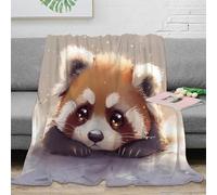 NAOFEKUID 3D Printed Cute Raccoon Pattern Blanket Microfiber Throw for Adults Home Decor Soft Sofa Bed Use 50x60(127x152cm)