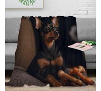 NAOFEKUID 3D Printed Doberman Blanket Microfiber Home Decor Dog Pattern Throw Blanket Soft Warm for Sofa Bedroom 50x60(127x152cm)