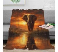 NAOFEKUID 3D Printed Elephant Scenery Blanket Microfiber Home Decor Elephant Throw Blanket Sofa Bedroom Gift 50x60(127x152cm)