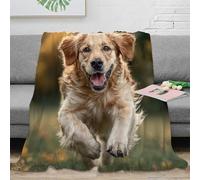 NAOFEKUID 3D Printed Realistic Golden Retriever Blanket Microfiber Sofa Decor 3D Dog Throw Blanket for Adults Bedroom 50x60(127x152cm)