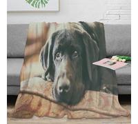 NAOFEKUID Cozy 3D Printed Black Labrador Blanket Soft Microfiber Home Decor Labrador Dog Throw Blanket for Sofa or Bed 40x50(100x130cm)