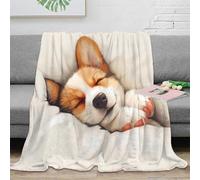 NAOFEKUID Cozy 3D Printed Corgi Blanket Microfiber Sofa Decoration Cute Dog Throw Blanket for Adults Teens Bedroom 80×90(200x230cm)