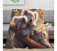 NAOFEKUID Cute Koala 3D Printed Blanket Microfiber Home Decor Koala Tree Branch Throw Blanket Soft Warm for Adults Teens 50x60(127x152cm)