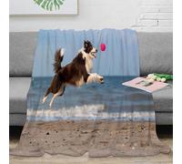 NAOFEKUID Pet Beach 3D Printed Dog Blanket Microfiber Soft Throw Blanket for Adult Teen Sofa Bedroom Decor 60x80(150x200cm)