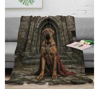 NAOFEKUID Vintage Castle 3D Printed Sculpture Dog Pattern Blanket Microfiber Home Decor Retro Throw Blanket for Adults Sofa Bedroom Warm 50x60(127x152cm)
