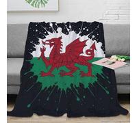 NAOFEKUID Vintage Style 3D Printed Welsh Dragon Blanket Microfiber Sofa Home Decor Wales Flag Throw Blanket Soft 60x80(150x200cm)