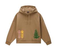 Napapijri Aral Hoodie Brown L Woman