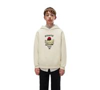 Napapijri Flein Hoodie