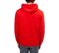NAPAPIJRI - Men's winter Burgee hoodie