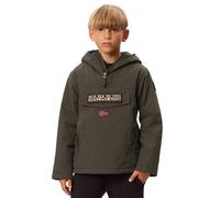Napapijri Rainforest Pocket 2 Hoodie