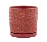 Napco Imports Decorative Home or Garden 5.5 x 6 Inch Indoor or Outdoor Flower Pot Planter with Saucer Pink and Gold Tone Leopard Print