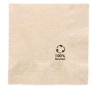 Napkins Ecolabel 2 Ply 18 Gsm 20X20 Cm Natural Recycled Tissu - 4800 Units