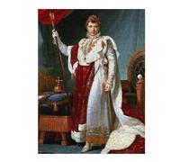 Napoleon in Robes Vivid Wooden Jigsaw Puzzle for Adults, 500 PCS