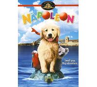 Napoleon - Napoleon [DVD] [1994] [Region 1] [US Import] [NTSC]