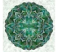 Napoleon - Newborn Mind