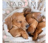 Naptime: Dogs & Puppies on Their Best Behavior 2026 12 X 12 Wall Calendar