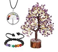 NARIBABU Amethyst Crystal Tree - Bonsai Crystal Tree - Meditation Gifts For Women - Crystal Decor - Gemstone Trees - Ornament Tree - Feng Shui Crystals And Stones - Gemstone Tree Life