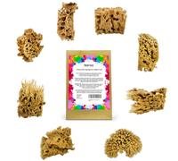 NAROA Artist Natural Sea Sponges for Painting 8 Pack | Unbleached Unique Art tool Set | Suitable for Acrylic Watercolor, Marbling, Texturing, Pottery, Ceramics
