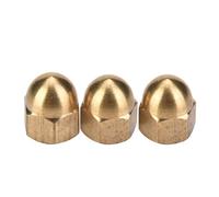 Naroote Brass Acorn Nut Kit Dome Head Cap Hex Nuts Set, For Fix Tires And Axles Brass Cap Acorn Kit For Fix Tires And Axles (M5(20PCS))