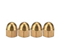 Naroote Brass Acorn Nut Kit Dome Head Cap Hex Nuts Set, For Fix Tires And Axles Brass Cap Acorn Kit For Fix Tires And Axles (M3(20PCS))