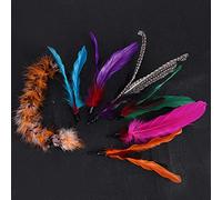 Naroote Cat Feather Toy, Feather Toys For Indoor Cats 7Pcs Pet Teaser Dangler Rod Stick Replacement Head Supplies For All Breeds and Species