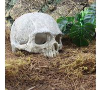 Naroote Elegant Head Bone Skull Statue for Lizard Spider Scorpion Cave Decor, 5.5x4.3x3.9inch