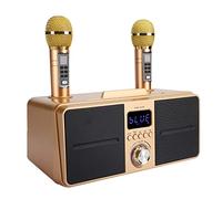 Naroote Family KTV Bluetooth Karaoke Speaker, Clear Sound for Singing and Listening, Wireless Microphone, Durable Material, 2 Hour Playtime, for Home Entertainment (Gold)