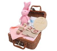 Naroote Newborn Gifts Basket, Baby Shine Socks Funny Bib Wood Rattle Toys for at Home (Roseate)